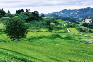 中学歴史の有名な一揆《一覧表》時代年表まとめ