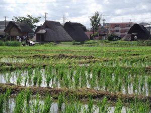 日本の有名な遺跡・古墳１５箇所《一覧表》