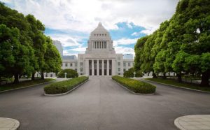 国会と議員に関する《まとめ》