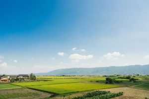 日本の農業の特徴と農作物の生産地 一覧｜小学生・中学受験