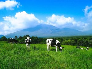 日本の畜産業の特徴と産地 一覧｜小学生・中学受験